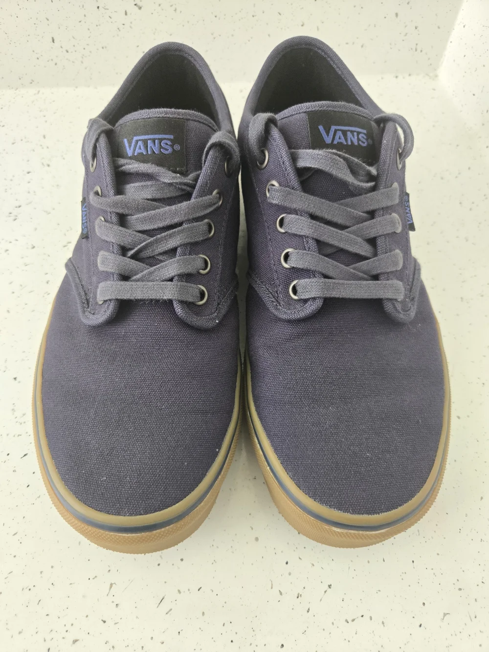 Vans Men’s Canvas Low-Top Sneakers in Black with Gum Sole